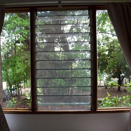Hostel Tajalin Montezuma Ngoại thất bức ảnh